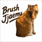 Brush Jjaemu img