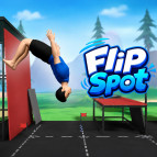 Flip Spot img