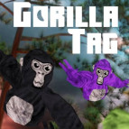 gorillatag img